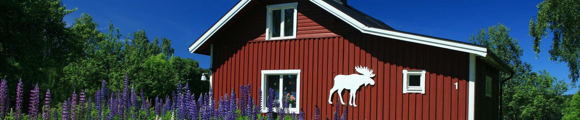 New Sweden