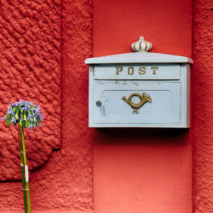 New Sweden Newsletter